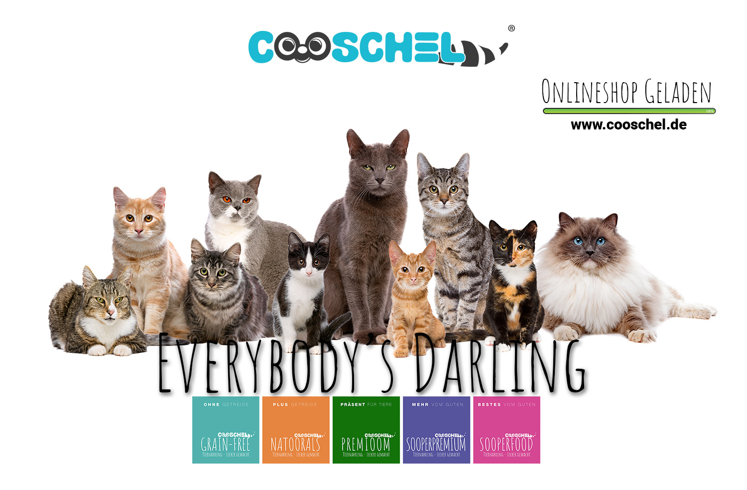 Cooschel, der Katzen Online-Shop