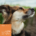 Hundefutter Naturals Fisch