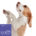 Hundefutter Super Premium Huhn für kleine Hunde
