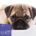 Hundefutter Super Premium Lachs